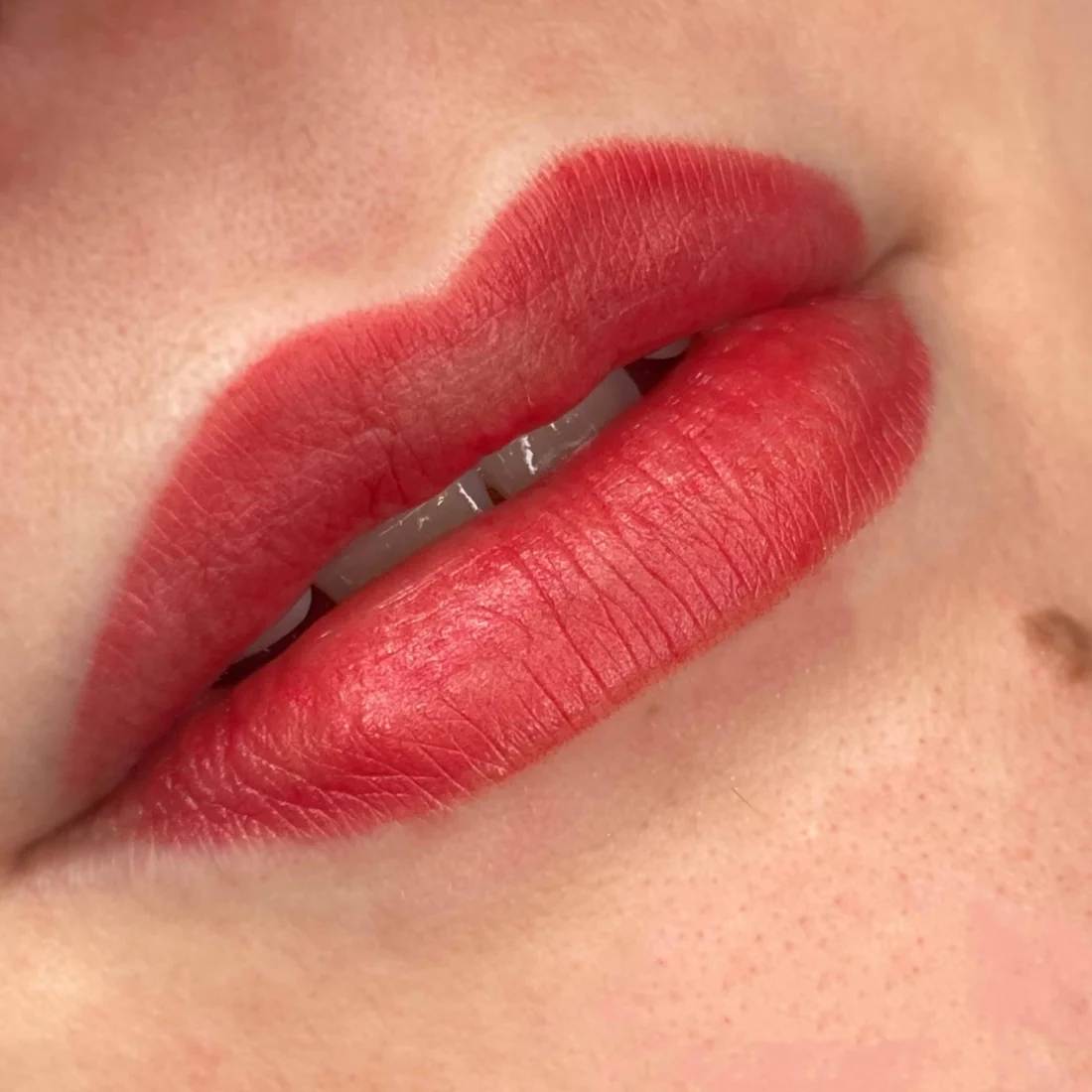 PMU Labbra Full Lips - Elena Parvu