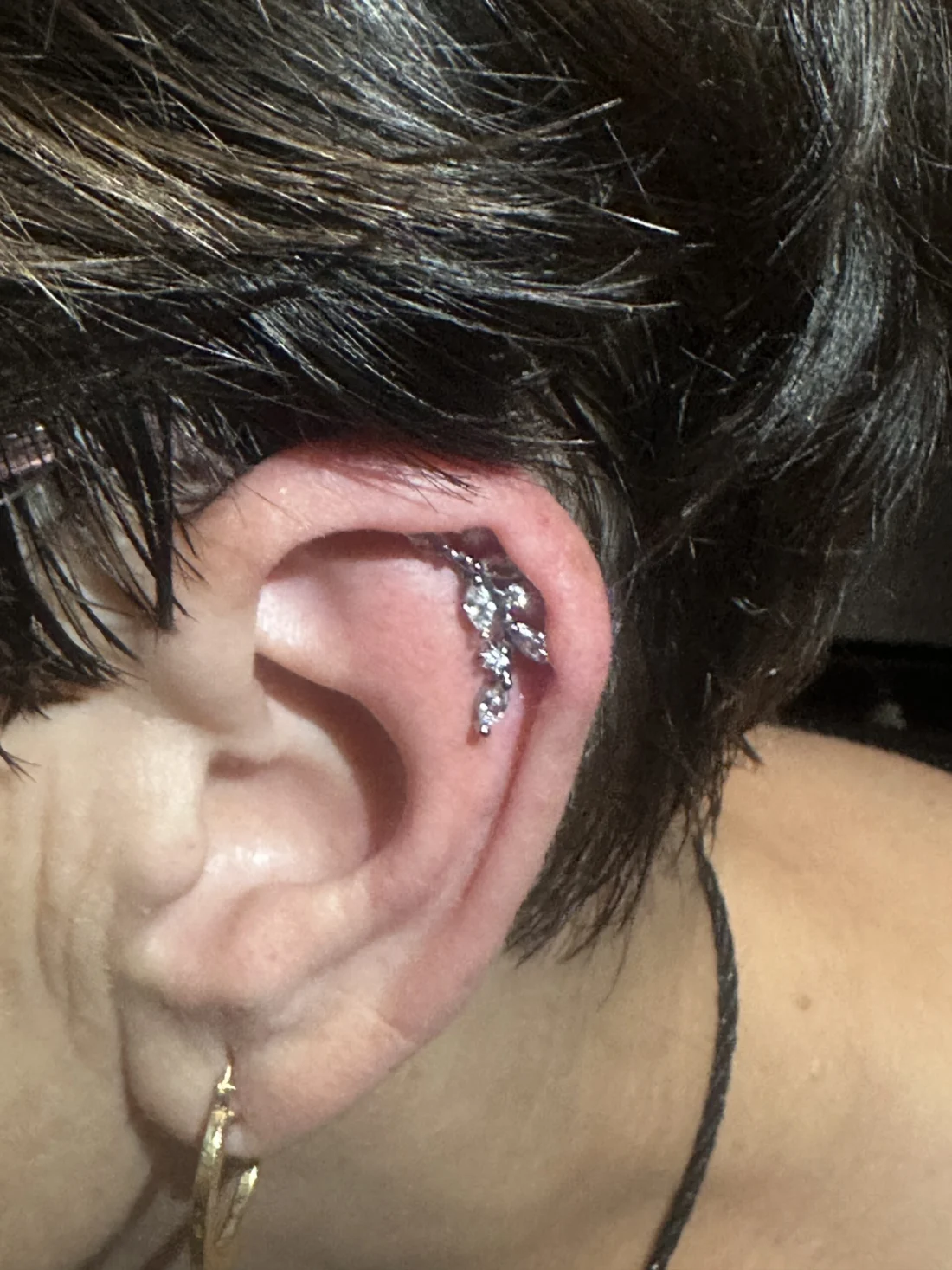 Piercing Orecchio - Elena Parvu